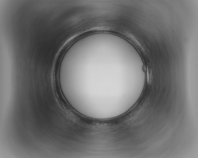X0000112180531200908070942