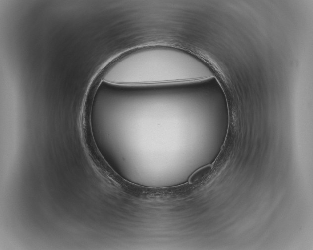 X0000112180532200908070942