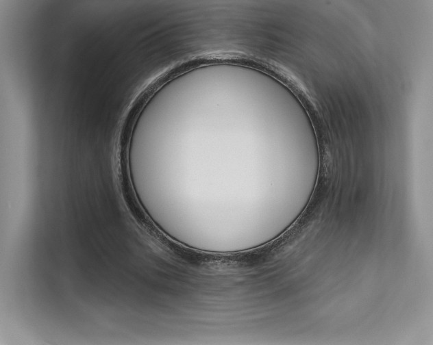 X0000112180535200908070942