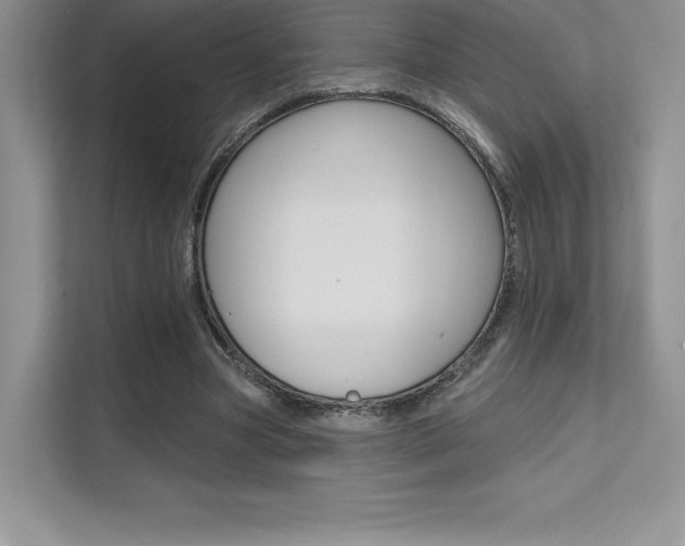 X0000112180537200908070942