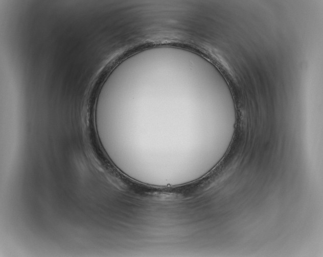 X0000112180539200908070942