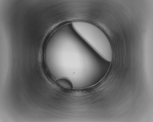 X0000112180540200908070942