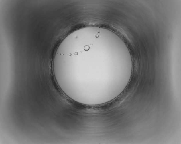 X0000112180545200908070942