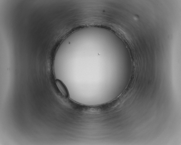X0000112180546200908070942