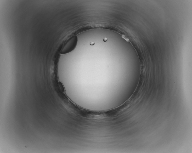 X0000112180548200908070942