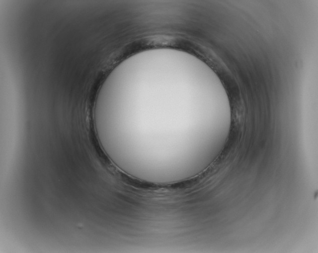 X0000112180551200908070942