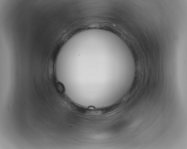 X0000112180554200908070942