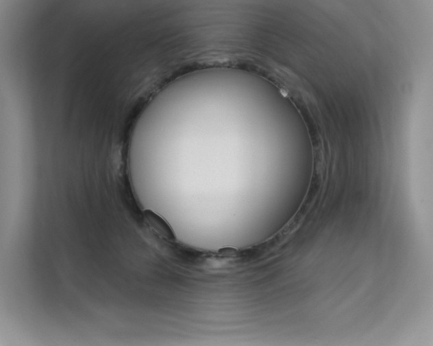 X0000112180560200908070942