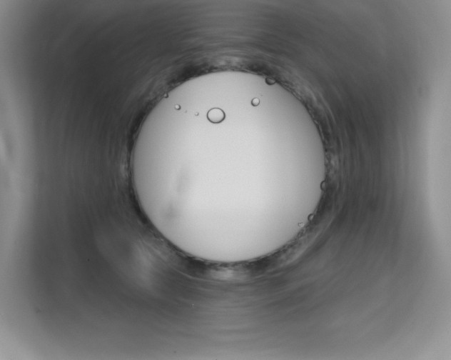 X0000112180561200908070942