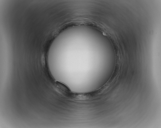 X0000112180562200908070942