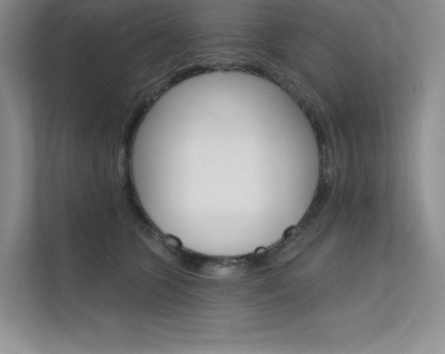 X0000112180563200908070942