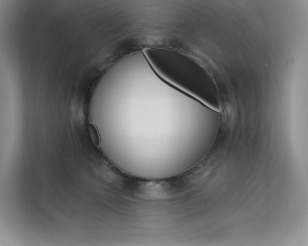 X0000112180566200908070942