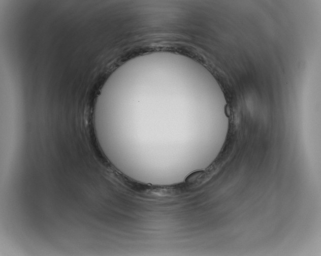 X0000112180567200908070942