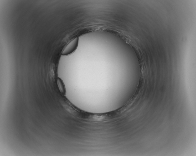X0000112180570200908070943