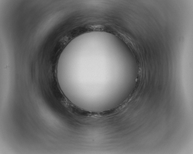 X0000112180572200908070943
