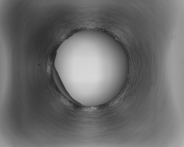 X0000112180576200908070943