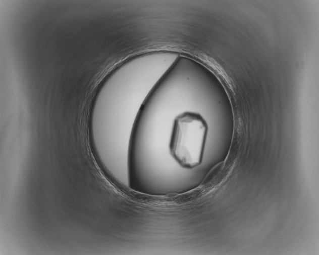 X0000112180577200908070942