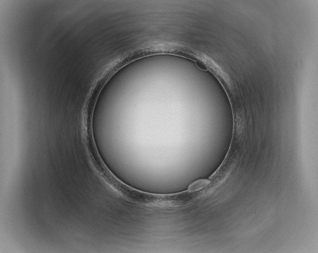 X0000112180581200908070942