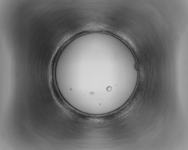 X0000112180582200908070942