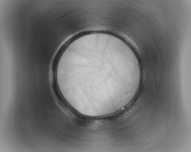 X0000112180584200908070942