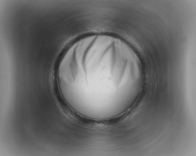 X0000112180592200908070942