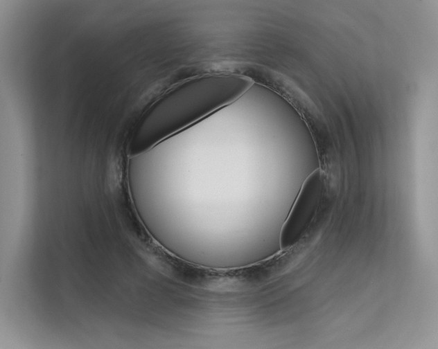 X0000112180593200908070942