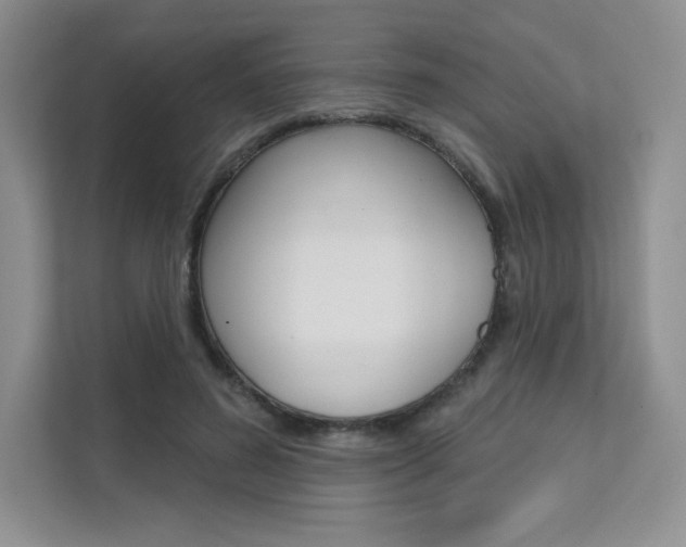 X0000112180596200908070942
