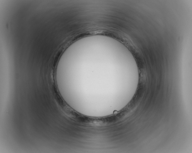 X0000112180598200908070942