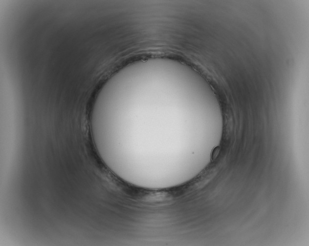 X0000112180609200908070942