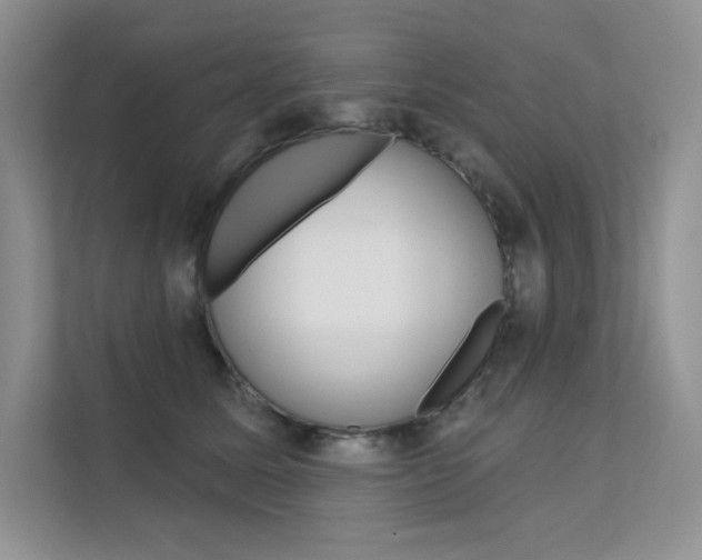 X0000112180611200908070942