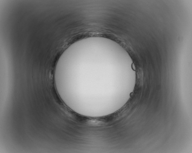 X0000112180614200908070941