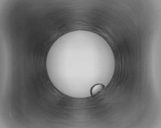 X0000112180621200908070941