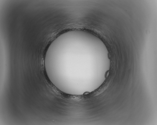 X0000112180624200908070941