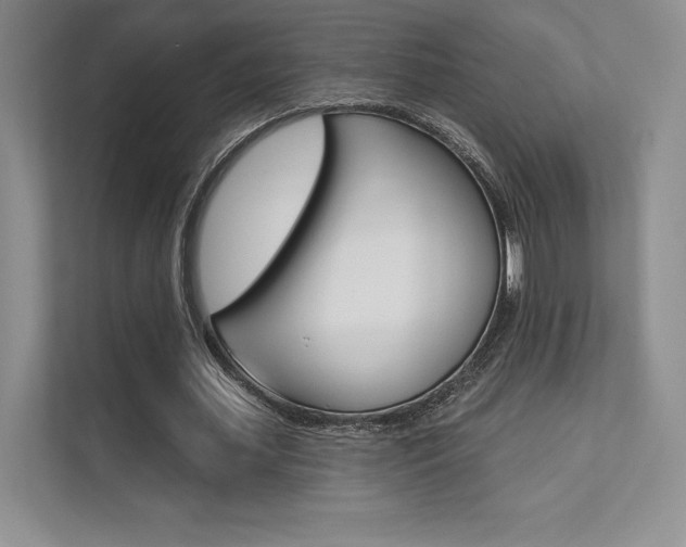 X0000112180627200908070941