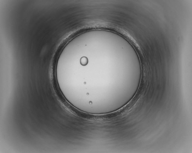 X0000112180629200908070941