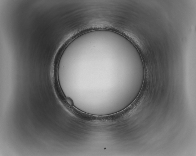 X0000112180630200908070941