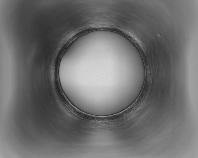 X0000112180631200908070941