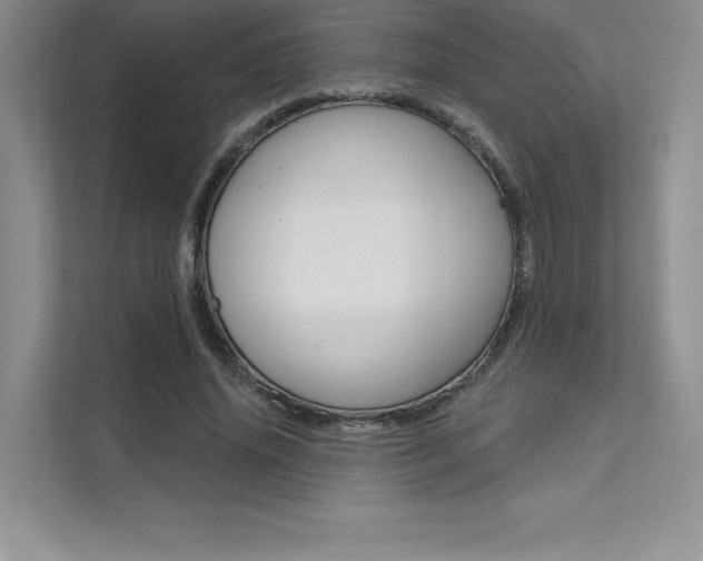 X0000112180636200908070941