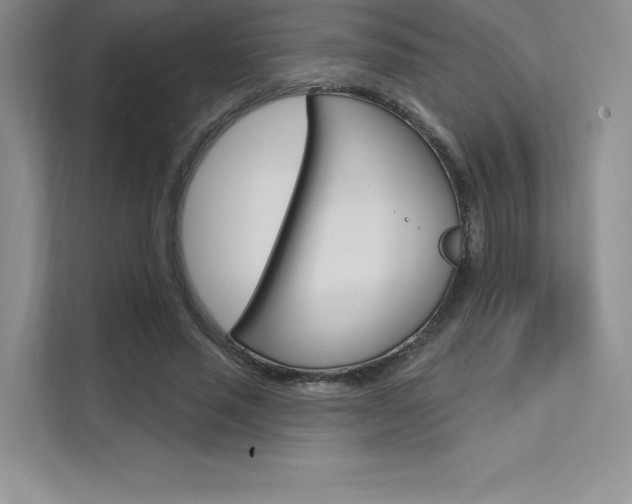 X0000112180637200908070941