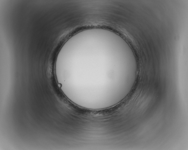 X0000112180640200908070941
