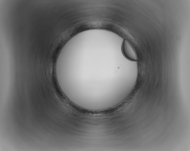 X0000112180645200908070941
