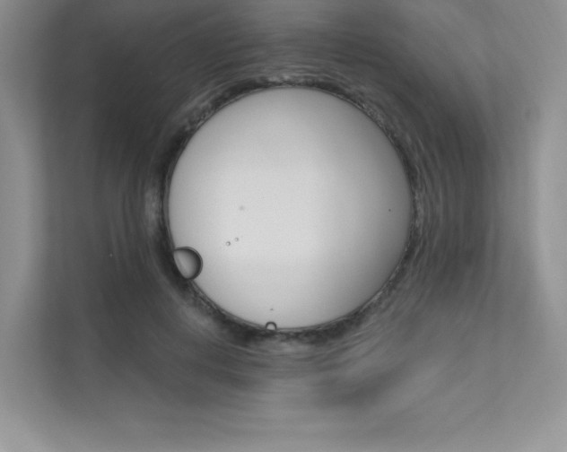 X0000112180648200908070941