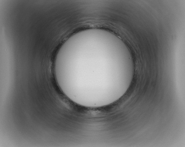 X0000112180650200908070941