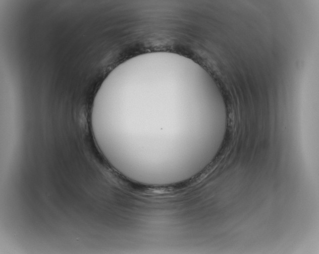 X0000112180662200908070941