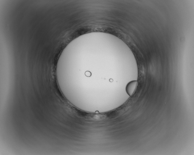 X0000112180663200908070941