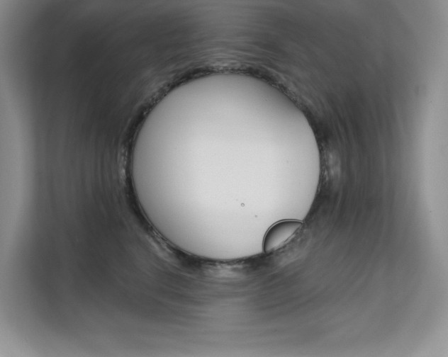 X0000112180664200908070941