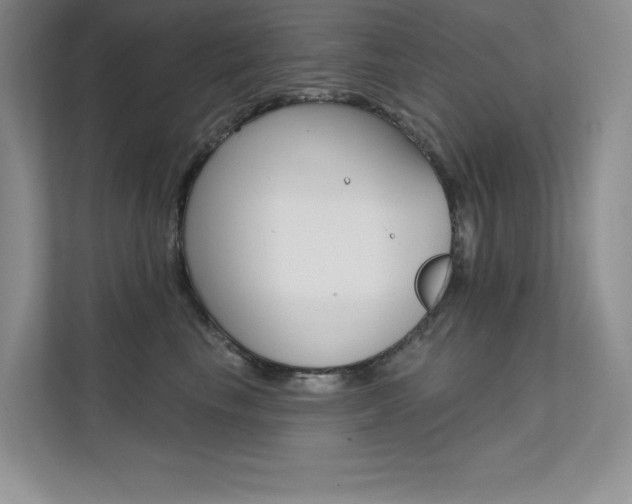 X0000112180665200908070941