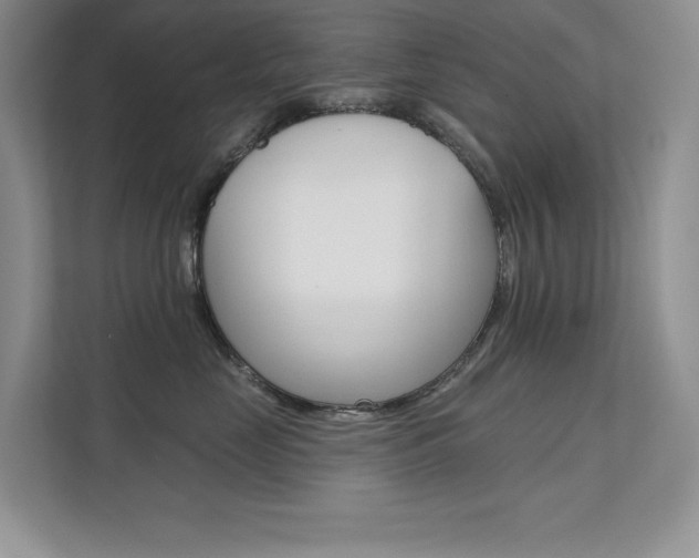 X0000112180669200908070941