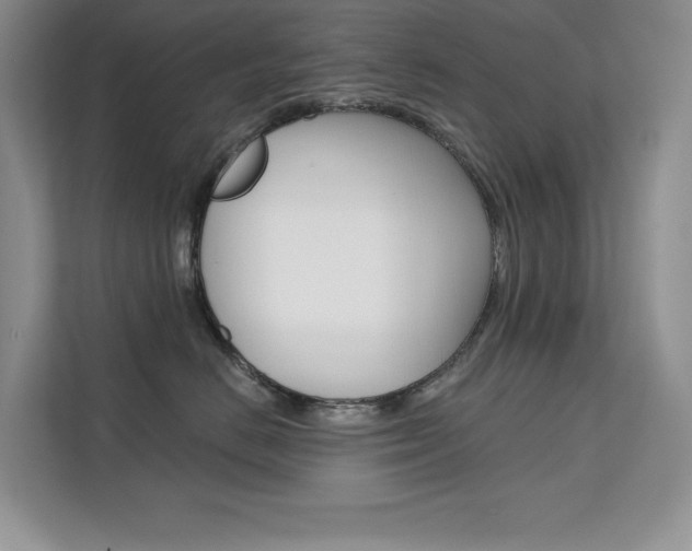 X0000112180670200908070941