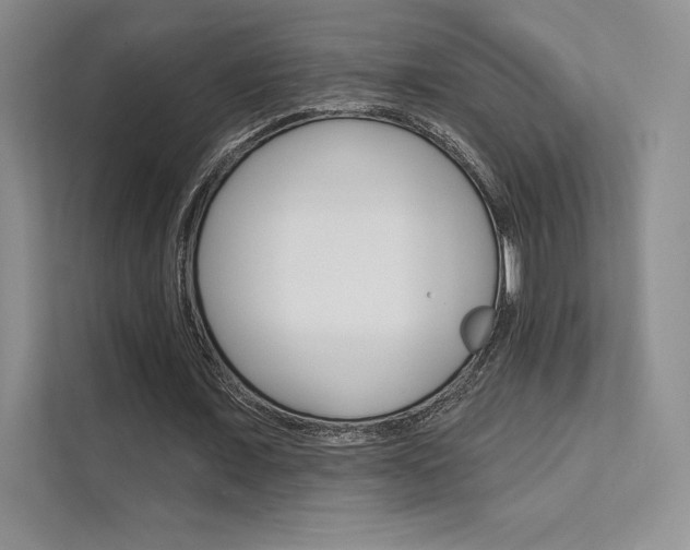 X0000112180675200908070941